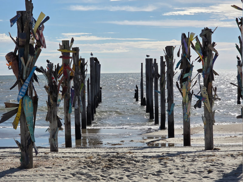 Indian Pass Beach Photo